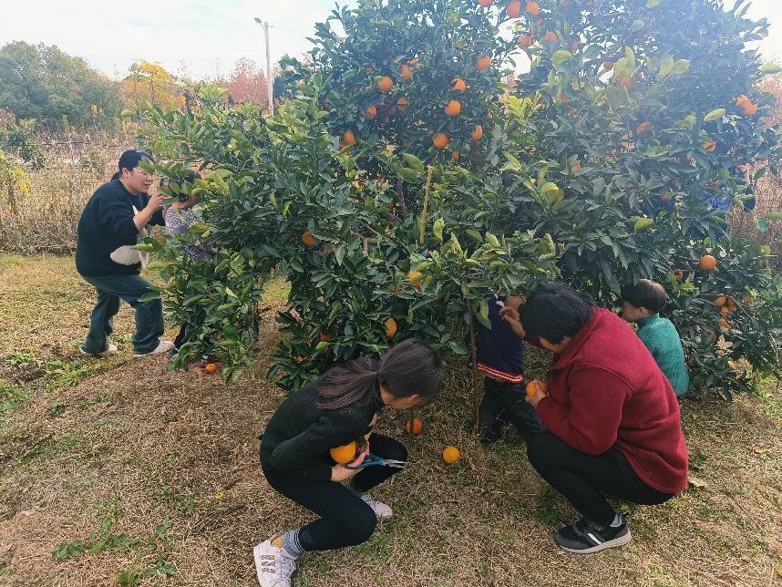 “爱意“农农”青春助力”